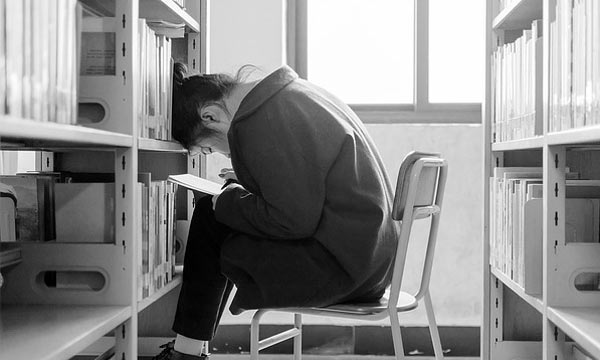 网络手机号呼叫软件免费版
